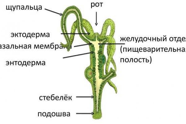 Ссылка на кракен krawebes