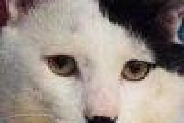 Ссылка на кракен kr2web in