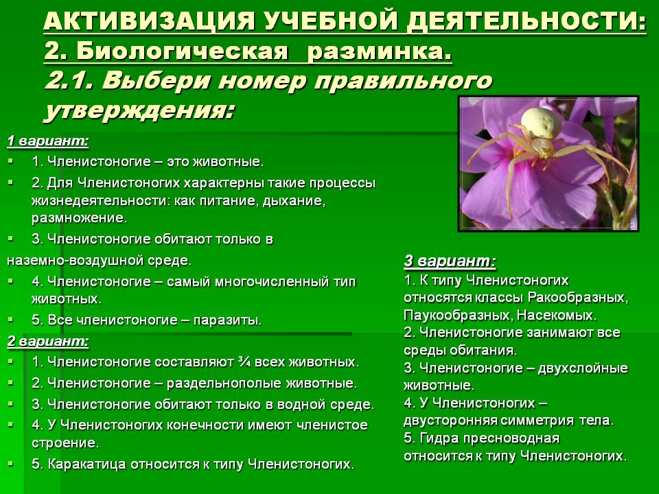 Кракен новая гидра